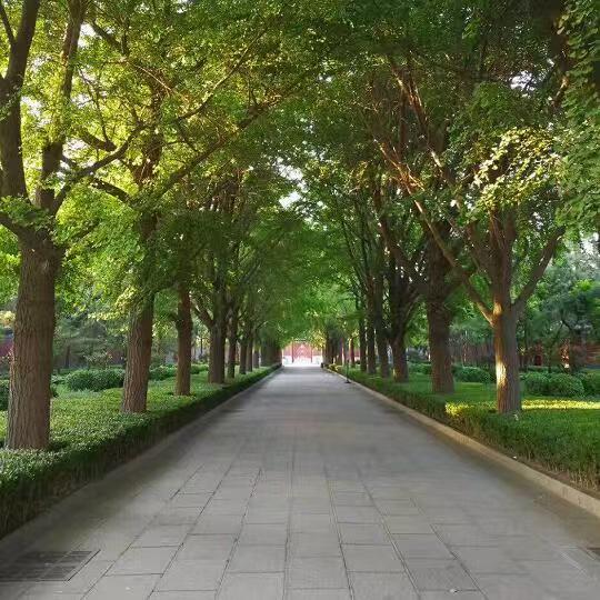 北京行李寄存
