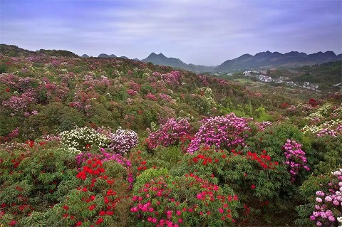 毕节行李寄存