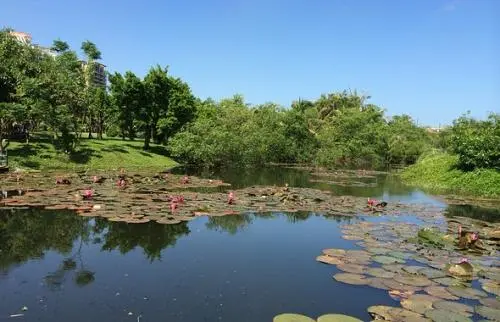 海口行李寄存