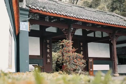 成都行李寄存